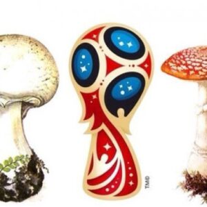 Она похожа одновременно на земные грибы //Фото fanebi.com