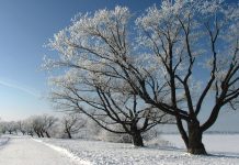 Температура воздуха в декабре останется в пределах нормы Температура воздуха в декабре останется в пределах нормы