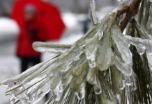В Ростове на этой неделе ожидается резкое похолодание В Ростове на этой неделе ожидается резкое похолодание