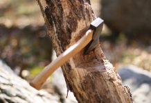 В Ростове на Шолохова планируют вырубить деревья для строительства перехода В Ростове на Шолохова планируют вырубить деревья для строительства перехода