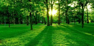 В Ростове заложат новый парк ко Дню Победы