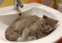 Ворошиловский район Ростова останется без воды во вторник Ворошиловский район Ростова останется без воды во вторник