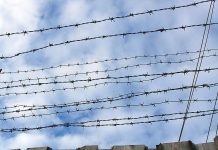 В Ростовской области задержали сбежавших 15 декабря заключенных