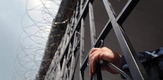 В Ростовской области по амнистии освободили 355 заключенных