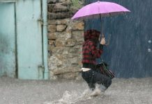 В Ростовской области в ближайшие часы ожидается сильное ухудшение погоды В Ростовской области в ближайшие часы ожидается сильное ухудшение погоды