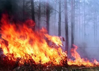 В Багаевском районе лесной пожар тушат 3 вертолета