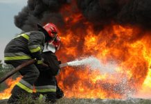 Пожар потушен в природном парке «Донской» в Ростовской области пожар//Фото с сайта esp.md