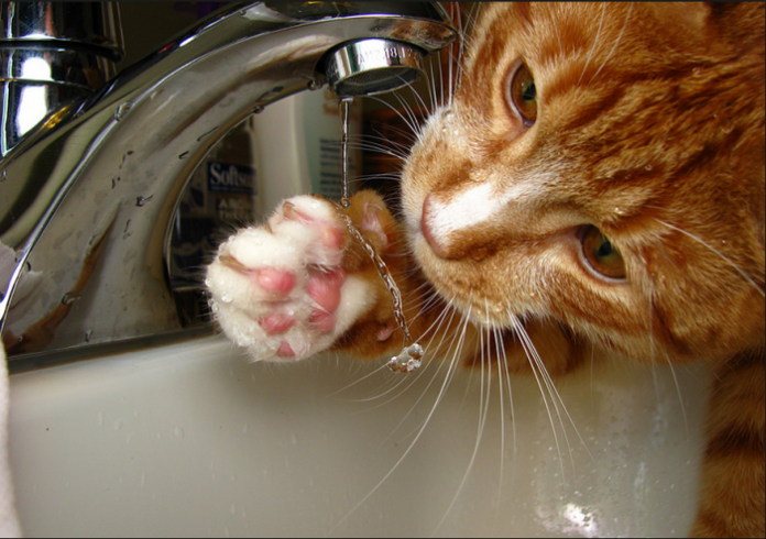 нет горячей воды //Фото с сайта ridus.ru