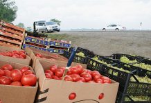 В Ростовской области увеличили штрафы за торговлю в неположенных местах