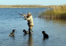 С 1 января в России вступили в силу новые правила охоты С 1 января в России вступили в силу новые правила охоты