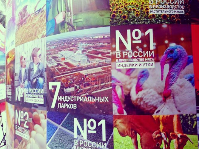 Стенд Ростовской области на форуме "Сочи-2015" //Фото: Олег Китаев/Городской репортер