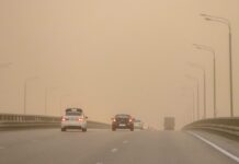 Синоптики прогнозируют на Дону пыльную бурю Синоптики прогнозируют на Дону пыльную бурю