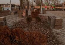 На Зелёном острове высадят новые деревья вместо неприжившихся // фото: urbanrnd.ru