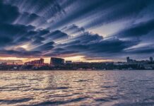 Осенний призыв, Западная хорда и победа желто-синих: итоги