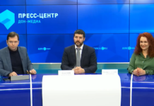 Руководитель гарантийного фонда Ростовской области: бизнес смог адаптироваться к новым условиям