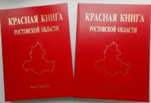 Появилось новое издание Красной книги Ростовской области
