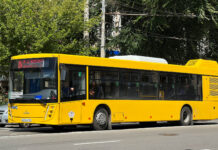 В Ростове появятся новые маршруты транспорта на Левый берег Дона