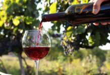 В Ростовской области могут увеличить производство игристого вина в два раза