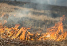 В Ростовской области ожидается чрезвычайная пожароопасность 4 сентября