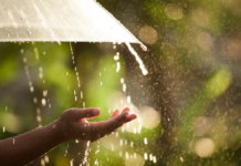 В Ростовской области в середине недели придет похолодание