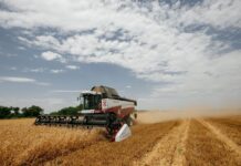 С начала года Сбер в Ростовской области профинансировал сезонно-полевые работы на 11,4 млрд рублей