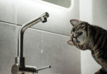 Часть Советского района Ростова останется без воды до вечера