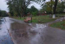 Департамент ЖКХ Ростова проиграл суды с подрядчиком по реконструкции парка им. 8 Марта Парк им. 8 Марта в Ростове-на-Дону //Фото voicedaily.ru