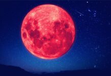 Ростовчане смогут увидеть кровавую Луну и яркий Юпитер в ночь на 29 октября Кровавая луна //Фото telegra.ph