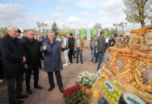 В Ростове отпраздновали «День донского урожая»