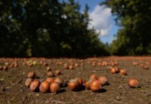 В Ростовской области два инвестпроекта вошли в «Губернаторскую сотню»