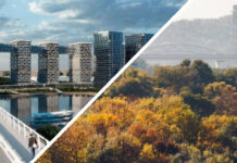 Роще места не нашлось: на левом берегу Дона вместо Левобережной рощи вновь хотят построить многоэтажки На левом берегу Дона вместо Левобережной рощи вновь хотят построить многоэтажки //Коллаж My Collages, использовано фото Романа Неведрова