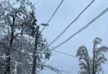 На Дону будут плавить гололед на энергообъектах Ледяной дождь на севере Ростовской области приводит к технарушениям на энергообъектах //Фото пресс-службы Россети-юг