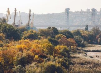 Слюсарь: в Ростове не будут застраивать Левобережную рощу Левобережная роща //Фото Роман Неведров