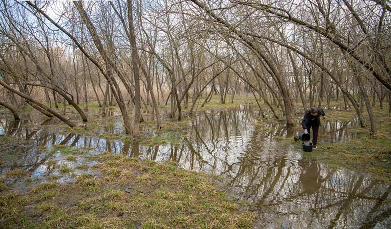 В Ростове поселок на Шоссейной постепенно тонет в грунтовых водах //Фото Блокнот-Ростов