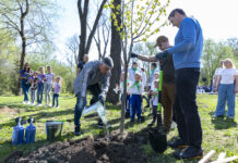 В Ростове в День древонасаждения высадили свыше 6000 деревьев