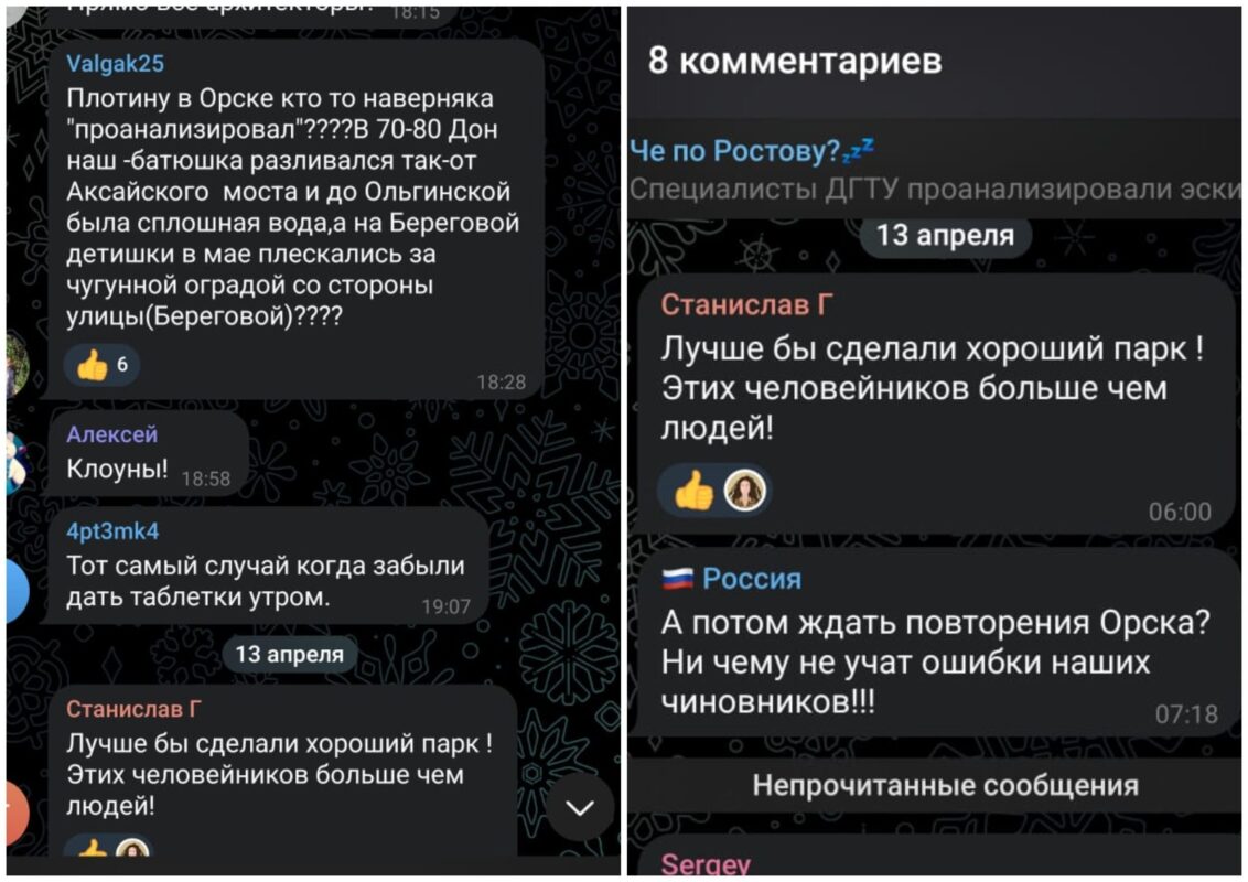 Жители Ростова высказались против проекта застройки Левобережной рощи //Скриншот дискуссии в социальных сетях