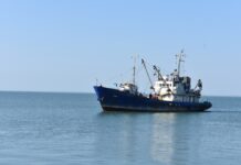 АзНИИРХ арендует суда для исследования Черного и Азовского моря Исследование Азовского моря на судне "Туран" //Фото пресс-службы Федерального агентства по рыболовству
