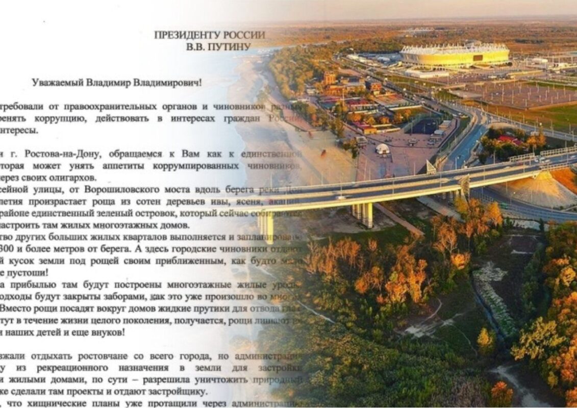 Ростовчане направили обращение к президенту России с просьбой остановить уничтожение Левобережной рощи