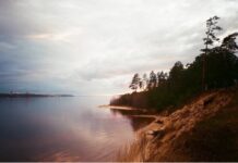 Плёночная фотография – хобби для тех, кто ценит момент