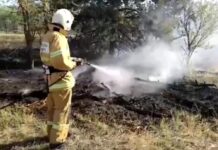 В Волгодонске потушили крупный пожар на рынке площадью 400 квадратных метров