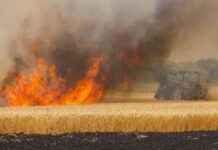 Крупный пожар в Ростовской области полностью ликвидирован Пожар на пшеничном поле //Фото пресс-службы ГУ МЧС России по Ростовской области