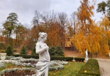 Ростовчане проголосуют за проект реконструкции парка Горького Осень в парке Горького. Ростов-на-Дону // фото: Ольга Медведева