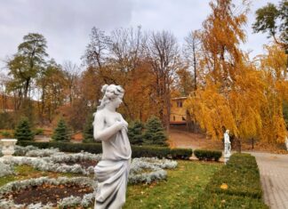 На Дону неделя начнется с дождей и сильного ветра Осень в парке Горького. Ростов-на-Дону // фото: Ольга Медведева