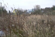 Донские власти начнут изымать заброшенные земли у дачников с 1 марта Донские власти начнут изымать заброшенные земли у дачников с 1 марта