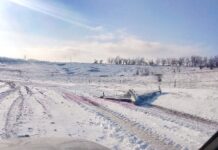 Ростовские дружинники нашли БПЛА в поле // фото: Север Дона