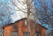 В Ростовской области пенсионер пострадал в результате пожара // фото:Telegram МЧС России