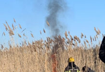 В Ростове проведут профилактические контролируемые выжигание сухой травы Выжигание сорной травы// фото: Администрация Ростова