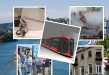 Топ-5 наиболее острых проблем Ростова проблемы Ростова