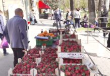 В Ростове камеры «Безопасного города» выявили 305 случаев незаконной торговли точка незаконной торговли в Ростове // фото: donland.ru