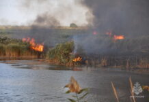 В трех районах Ростовской области объявили чрезвычайную пожароопасность пожар у реки // фото: пресс-служба МЧС по Ростовской области
